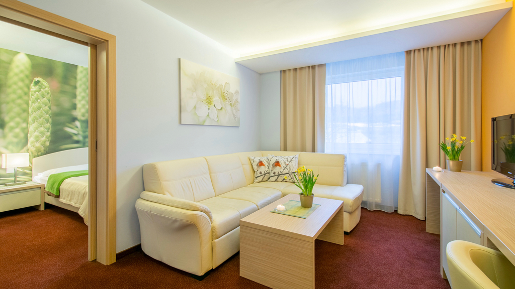 Room APARTMENT Family. Exclusive APARTMENT Family accomodation in High Tatras.